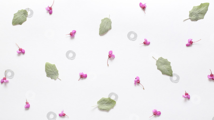 Скачать Весенние розовые цветы и светло-зеленые молодые листья на белой бумаге с фактурой. Весенний фон для дизайна и декора. фотосток Ozero