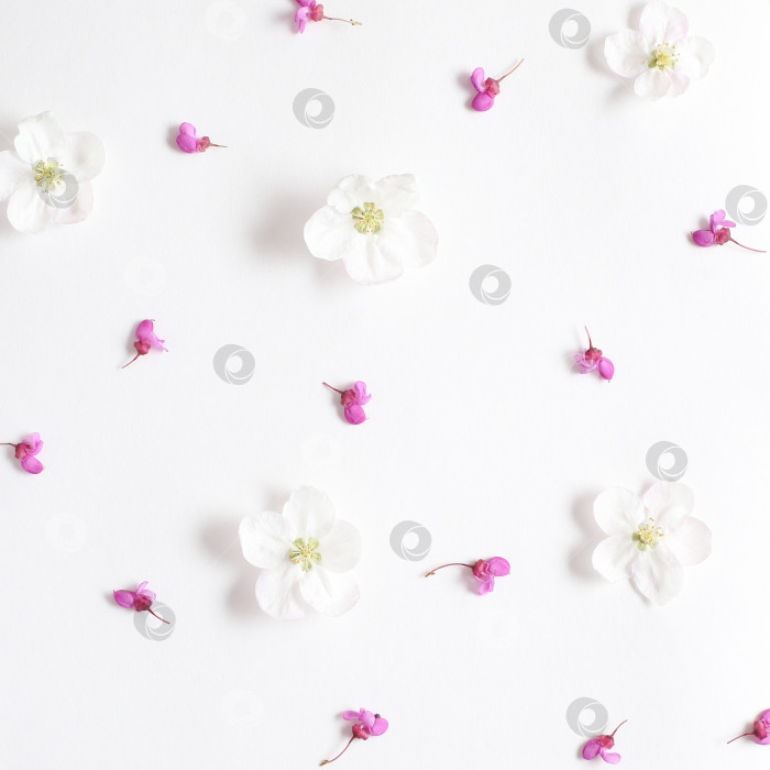 Скачать Весенние розовые и белые цветы на текстурной белой бумаге. Весенний фон для дизайна и декора. фотосток Ozero
