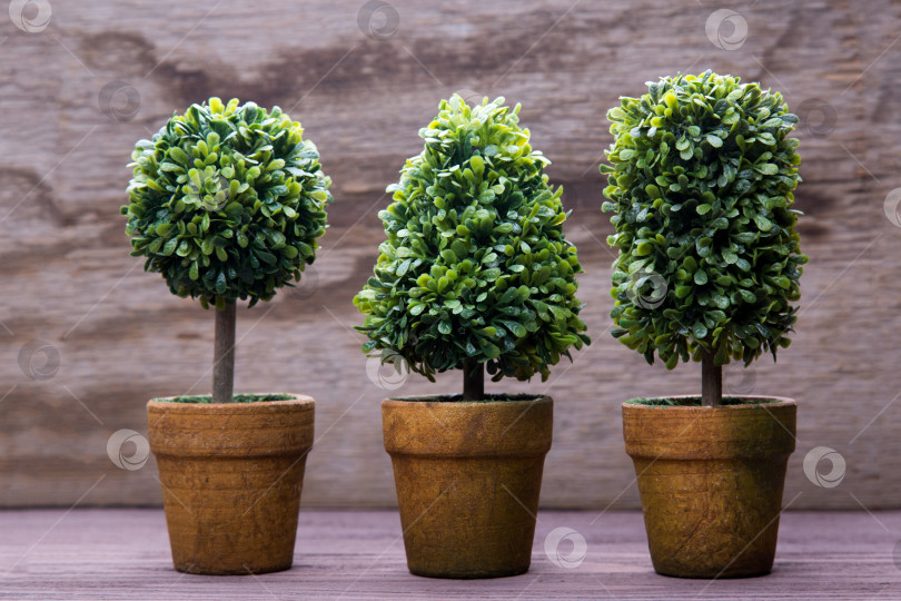 Скачать Игрушечные деревья в горшках фотосток Ozero