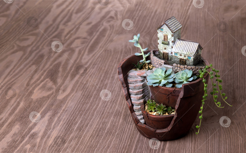 Скачать Суккуленты в декоративном горшке с домиком. Декор для дома. фотосток Ozero