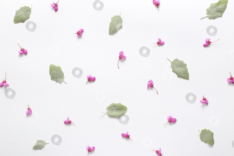 Скачать Весенние розовые цветы и светло-зеленые молодые листья на белой бумаге с фактурой. Весенний фон для дизайна и декора. фотосток Ozero