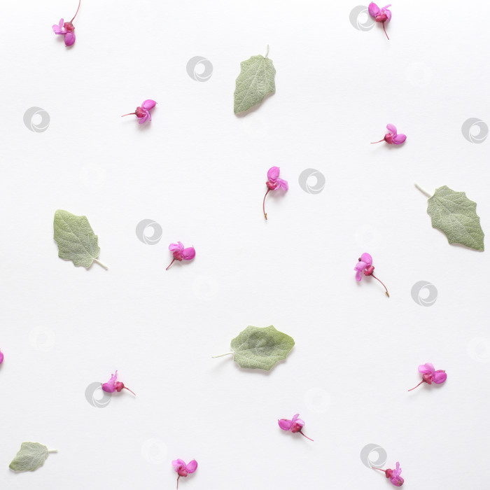 Скачать Весенние розовые цветы и светло-зеленые молодые листья на белой бумаге с фактурой. Весенний фон для дизайна и декора. фотосток Ozero