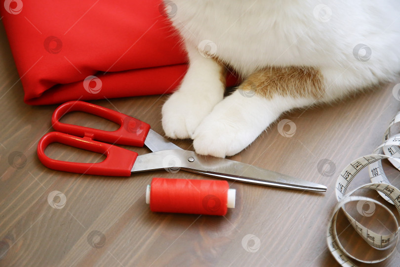 Скачать Ткань, ножницы, нитки, рулетка. Принадлежности для шитья. Рыжий кот сидит среди швейных принадлежностей. фотосток Ozero
