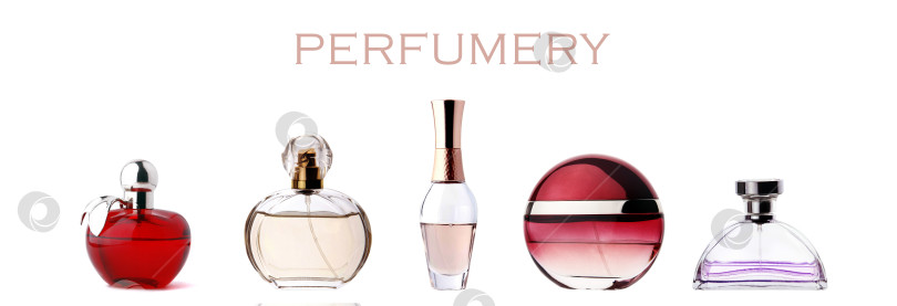 Скачать Парфюмерия фотосток Ozero