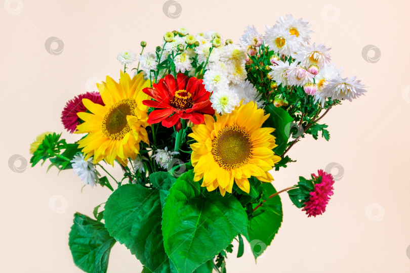 Скачать Букет из цветов подсолнуха, хризантем и циннии. фотосток Ozero