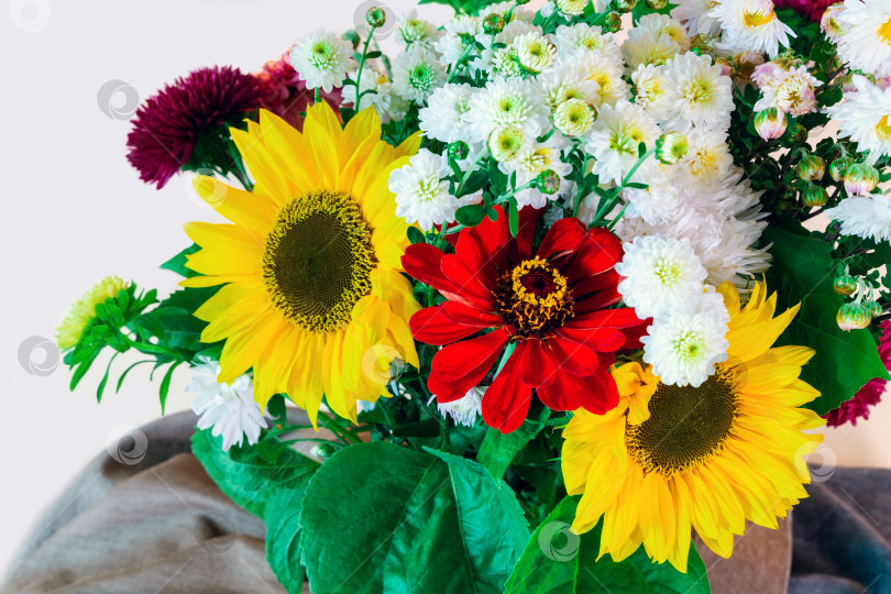 Скачать Букет из цветов подсолнуха, хризантем и циннии. фотосток Ozero