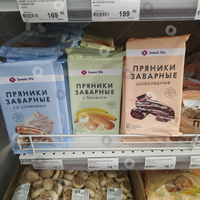 Скачать Он сделал выбор в пользу "Умного". фотосток Ozero