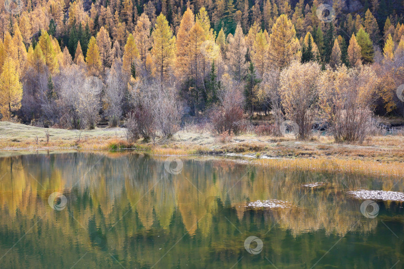 Скачать Фотография осеннего пейзажа с отражением реки. фотосток Ozero