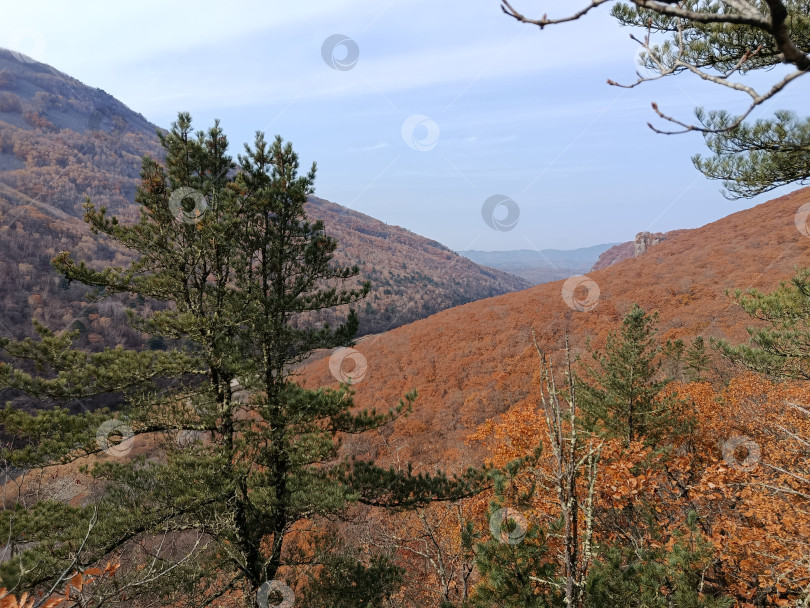 Скачать Ущелье Дарданеллы фотосток Ozero