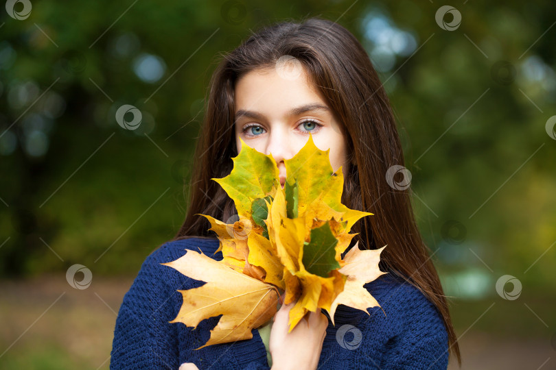 Скачать Симпатичная маленькая девочка-брюнетка позирует на фоне осеннего парка фотосток Ozero