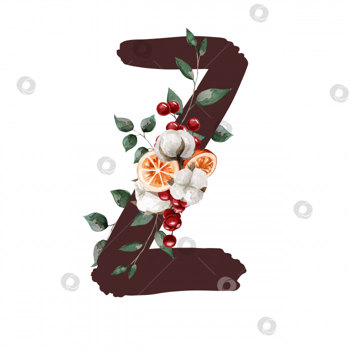 Скачать Заглавная буква Z с листьями, хлопком, ягодами и апельсином в акварельном стиле. Подходит для открыток, приглашений, подарков, брошюр, веб-сайтов и т.д. фотосток Ozero