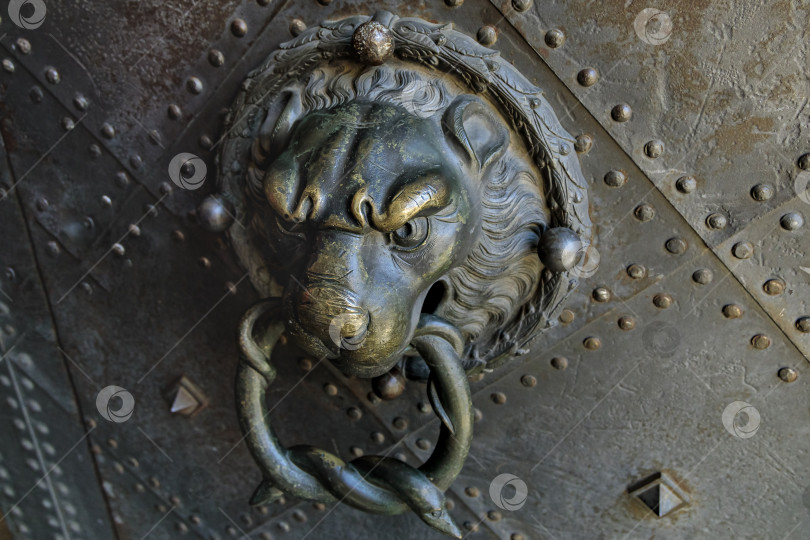 Скачать Старая дверь с львиной ручкой фотосток Ozero