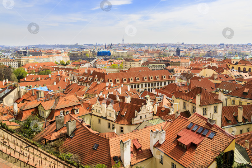 Скачать Красные крыши из натуральной черепицы вид сверху фотосток Ozero