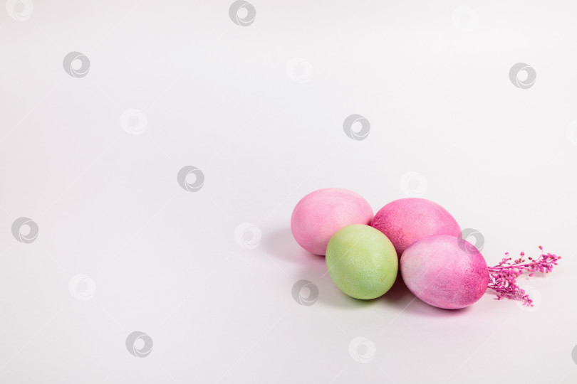 Скачать Разноцветные яйца с веточками, на белом фоне с местом для текста. фотосток Ozero