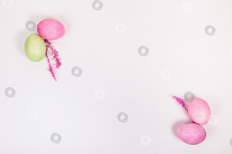 Скачать Разноцветные яйца с веточками, на белом фоне с местом для текста. фотосток Ozero