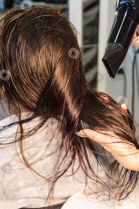 Скачать Молодая девушка-парикмахер сушит волосы феном в салоне красоты фотосток Ozero