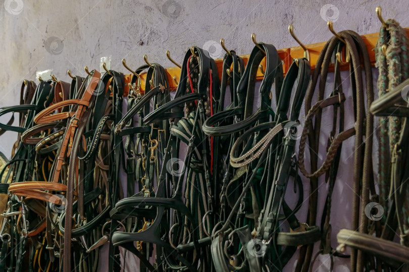 Скачать На стенах конюшни висят наборы кожаных уздечек и летучих мышей фотосток Ozero