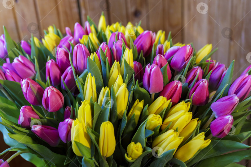 Скачать Огромный букет желто-сиреневых тюльпанов. Весенние цветы фотосток Ozero