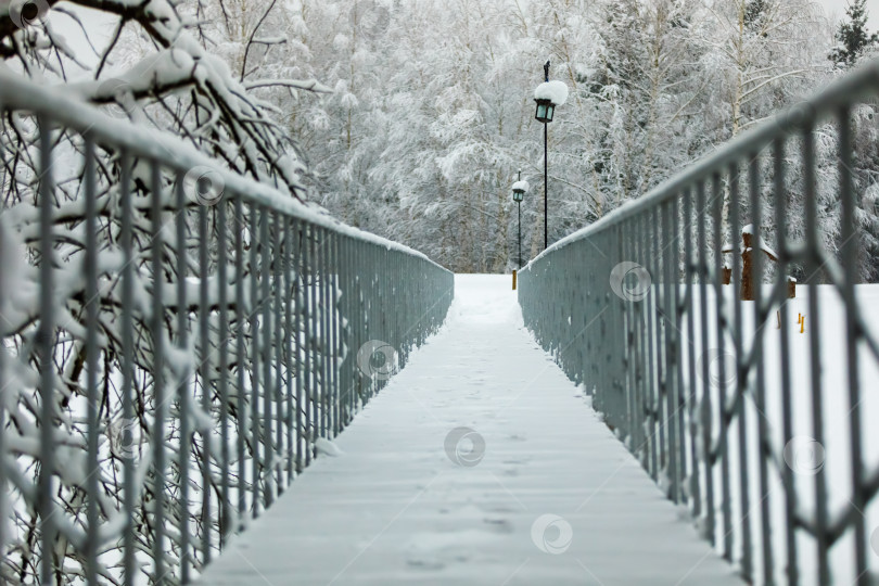 Скачать Мост с перилами в заснеженном зимнем парке фотосток Ozero