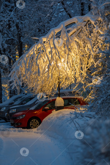Скачать Большая ветка заснеженного дерева прикрывает машину. фотосток Ozero