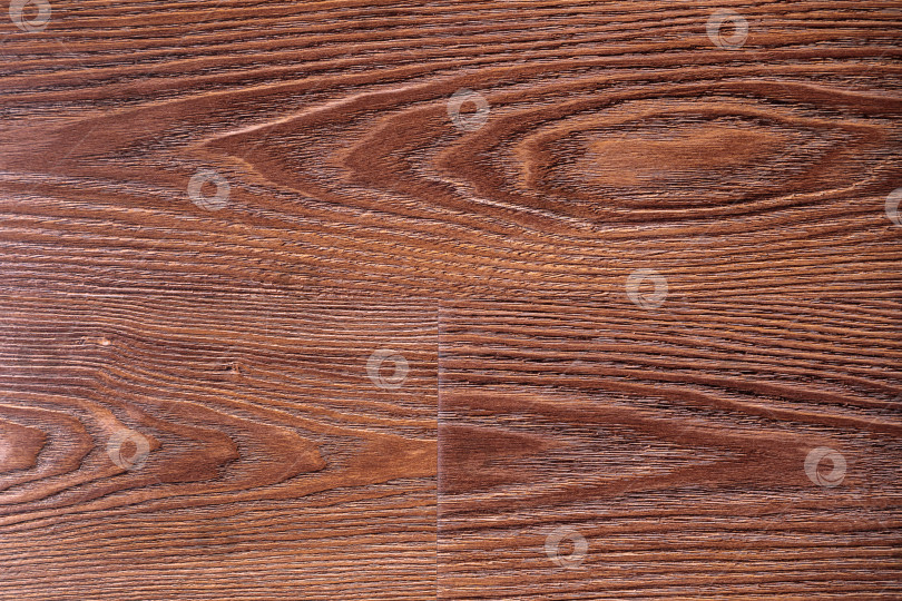 Скачать Текстура дубовой древесины для фона. фотосток Ozero