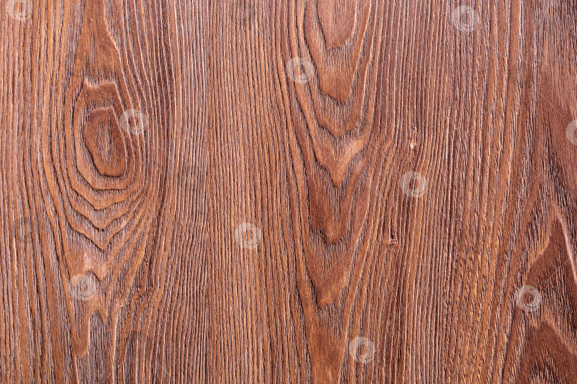 Скачать Текстура дубовой древесины для фона. фотосток Ozero
