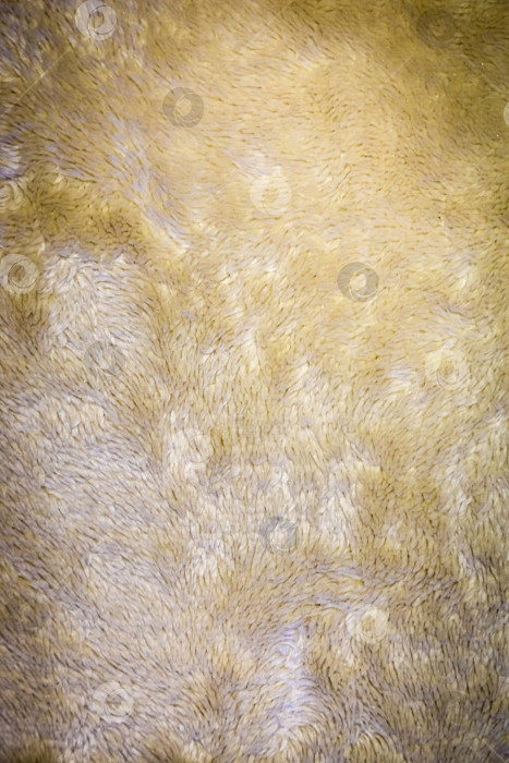 Скачать Фон из мягкой ворсистой ковровой ткани. фотосток Ozero