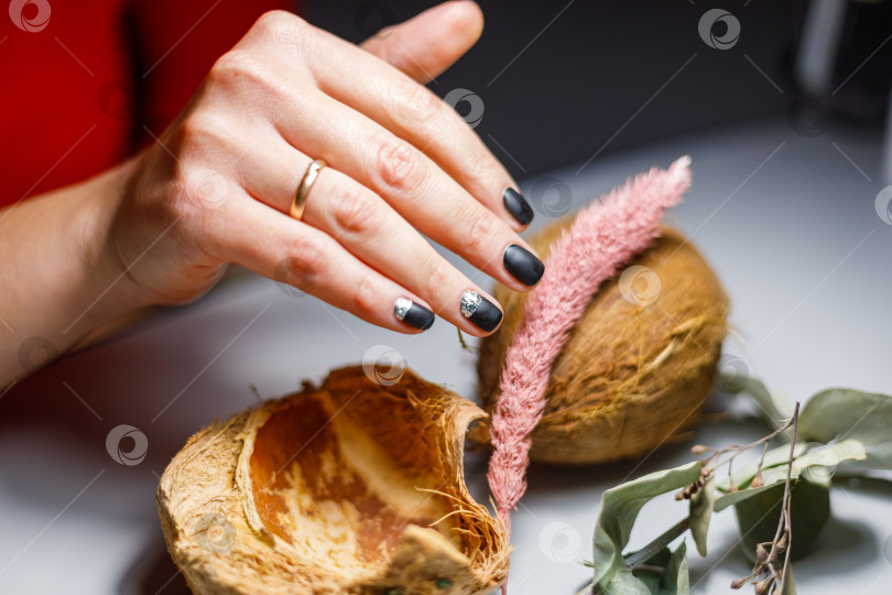 Скачать Красивый маникюр, покрытый черным лаком с золотистым рисунком фотосток Ozero