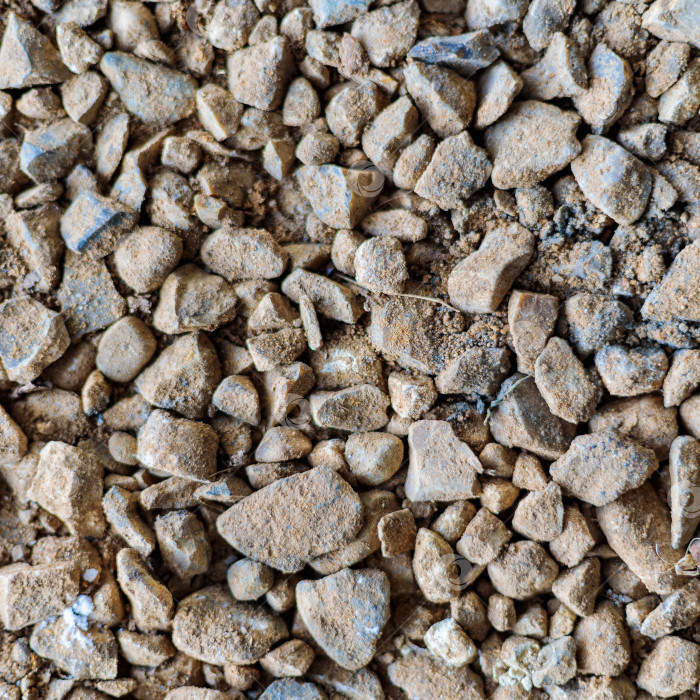 Скачать Текстура гравия. Мелкие и средние камни, галька различных оттенков серого, белого, коричневого, желтого, смешанные с песком. фотосток Ozero