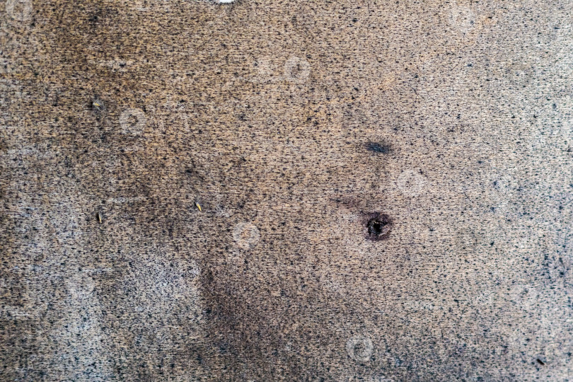 Скачать Светлый фон с небольшими каплями черной краски и поврежденной поверхностью. Древесный фон в стиле абстрактного искусства. Материал - фанера фотосток Ozero