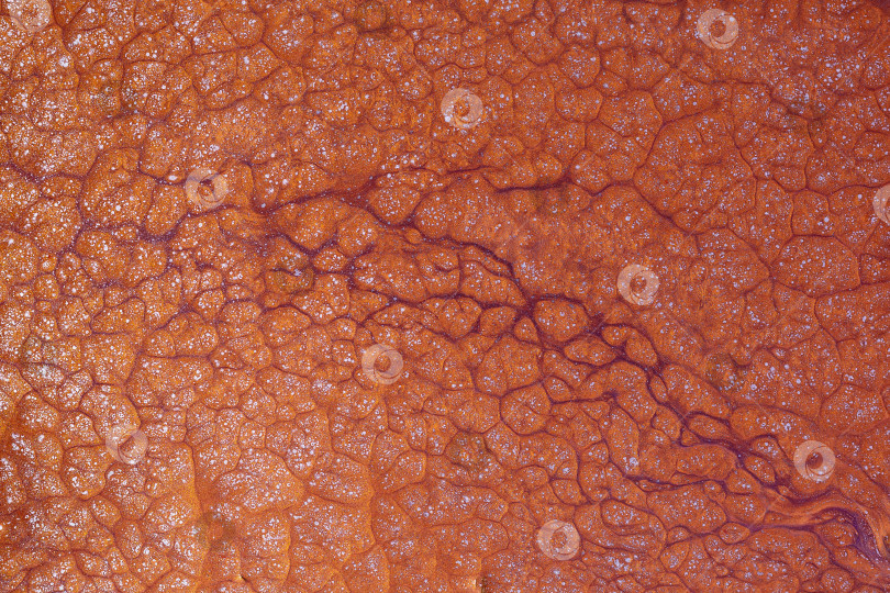 Скачать Абстрактная текстура фона, коричневый, жидкий акрил с добавлением золотого блеска фотосток Ozero