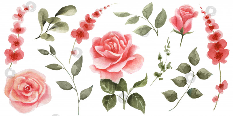 Скачать Набор весенних цветов на белом фоне. Акварельные розовые розы, красные цветы и зеленые листья. Идеально подходит для брошюр, открыток, приглашений, тканей, текстиля, листовок, открыток и т.д фотосток Ozero