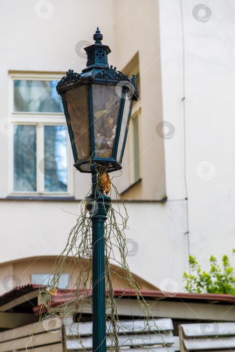 Скачать Роскошный винтажный уличный фонарь из черного металла фотосток Ozero