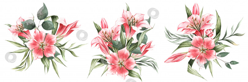 Скачать Набор цветочной композиции из розовых лилий и зеленых листьев. Акварельные иллюстрации для открыток, приглашений, наклеек, декора, принтов и т.д фотосток Ozero