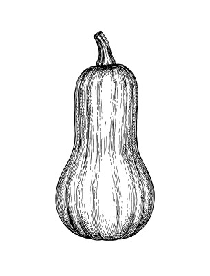 [object Object] undefined
