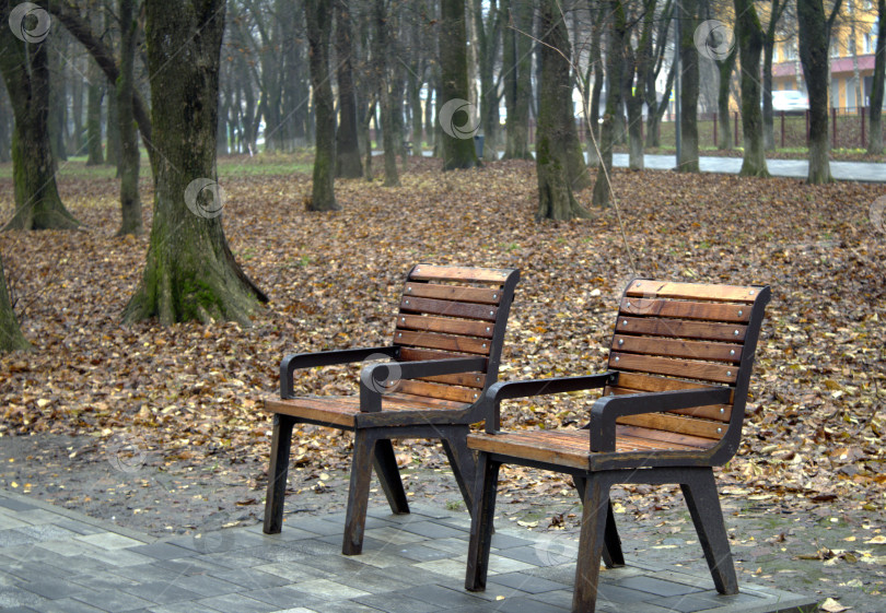 Скачать Две скамейки в осеннем парке. фотосток Ozero