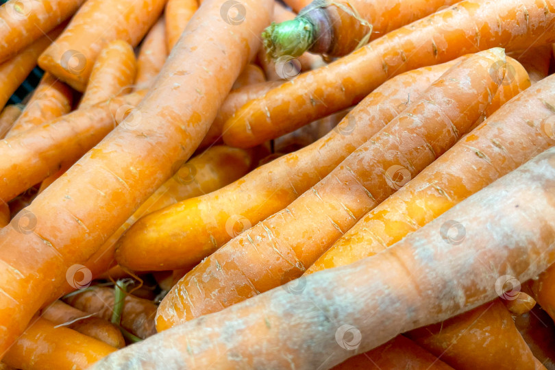 Скачать Морковь в корзине в продуктовом магазине, фрукты и овощи продаются на рынке фотосток Ozero