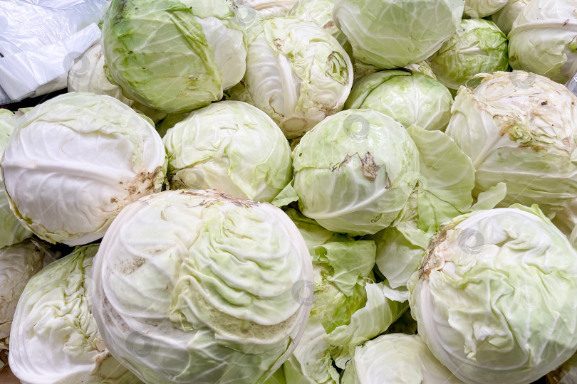 Скачать Капуста в корзине в продуктовом магазине, фрукты и овощи продаются на рынке фотосток Ozero