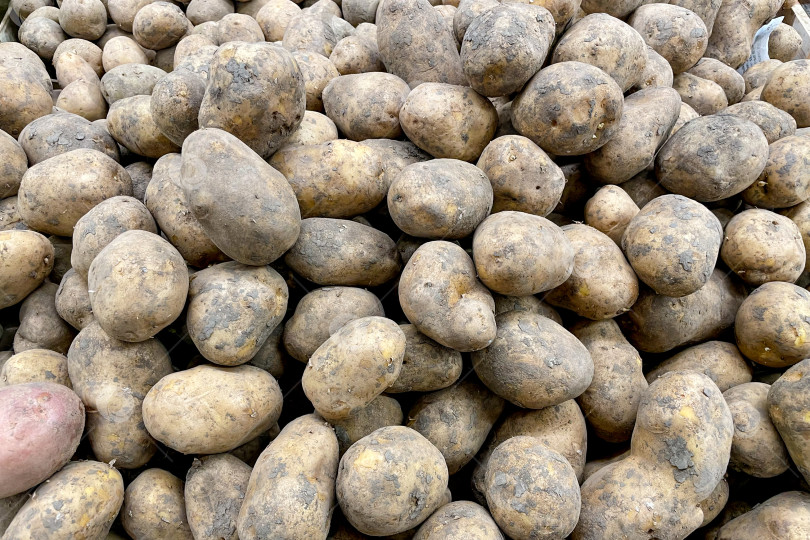 Скачать Картофель в корзине в продуктовом магазине, фрукты и овощи продаются на рынке фотосток Ozero