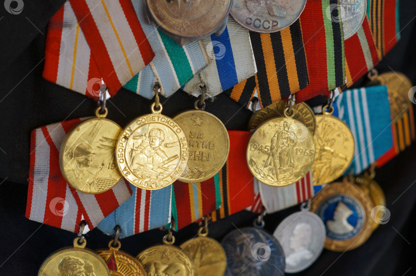 Скачать Саратов, Россия - 03 ноября 2025 года. Крупным планом много орденов и медалей СССР времён Великой Отечественной войны: за оборону Советского Заполярья, за взятие Вены и другие фотосток Ozero