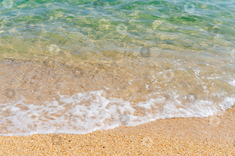 Скачать Вода зеленая, а песок коричневый фотосток Ozero