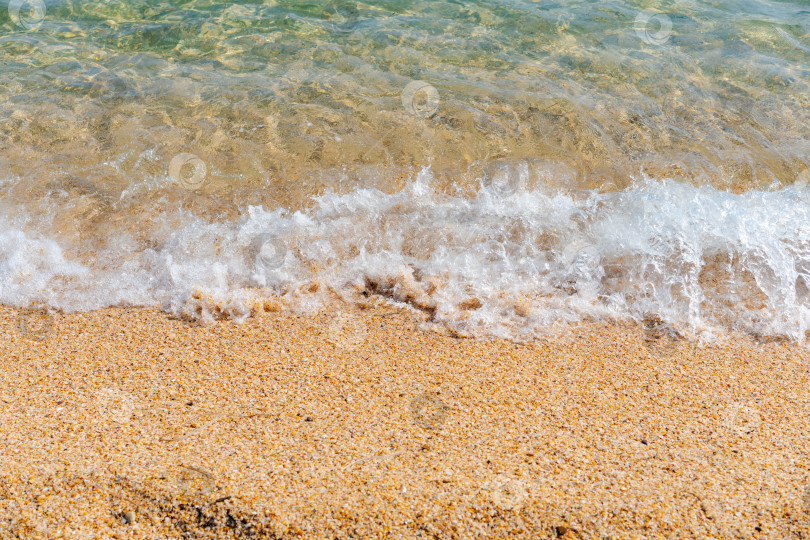 Скачать Вода прозрачная, а песок коричневый фотосток Ozero
