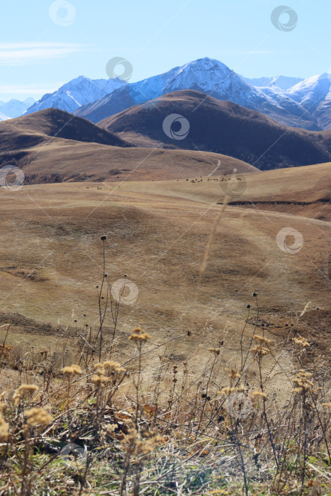 Скачать Вид на горы на Актопраке фотосток Ozero