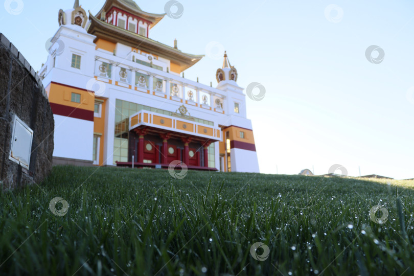 Скачать Рассветная роса в Золотой обители Будды Шакьямуни фотосток Ozero