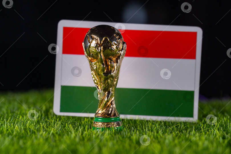 Скачать Чемпионат мира по футболу FIFA фотосток Ozero