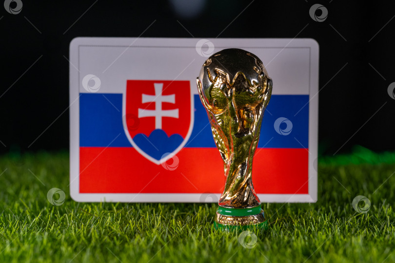 Скачать Чемпионат мира по футболу FIFA фотосток Ozero
