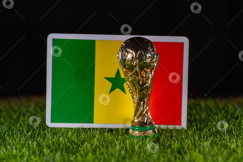 Скачать Чемпионат мира по футболу FIFA фотосток Ozero