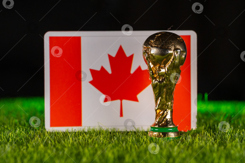 Скачать Чемпионат мира по футболу FIFA фотосток Ozero