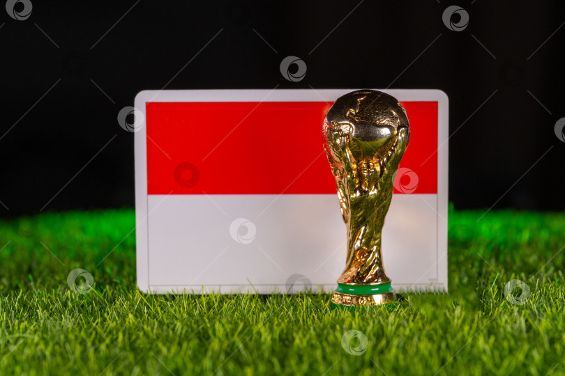 Скачать Чемпионат мира по футболу FIFA фотосток Ozero