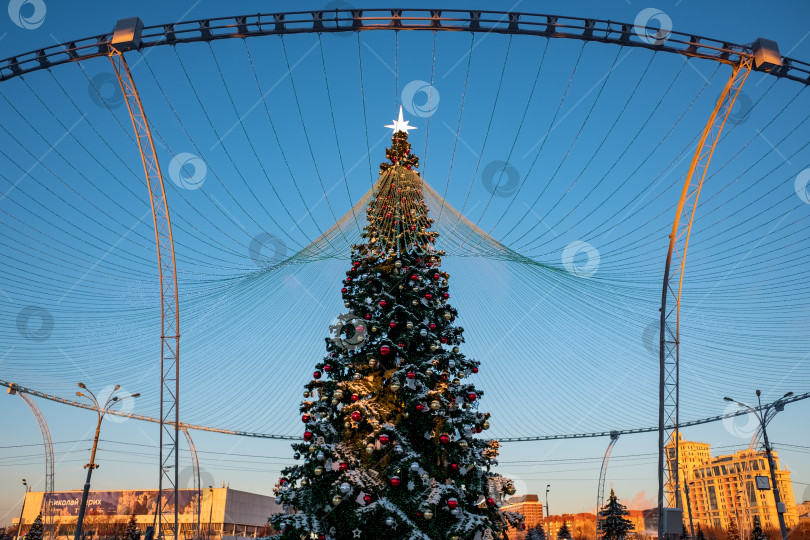 Скачать Рождественская елка фотосток Ozero